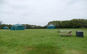 Dinky'S Den